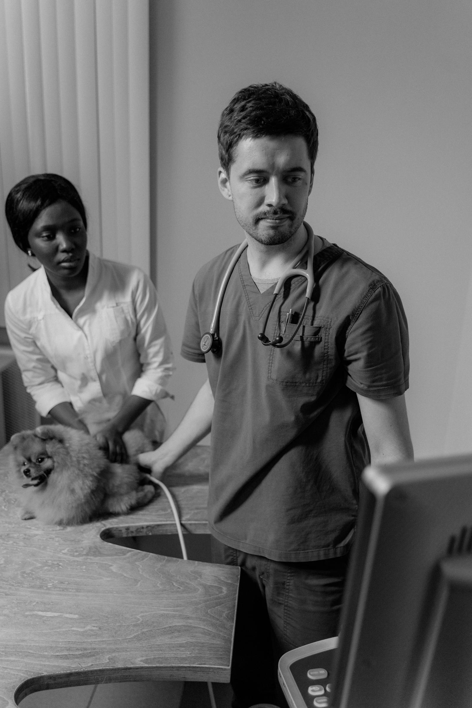 Veterinaria realizando atendimento clinico em cao